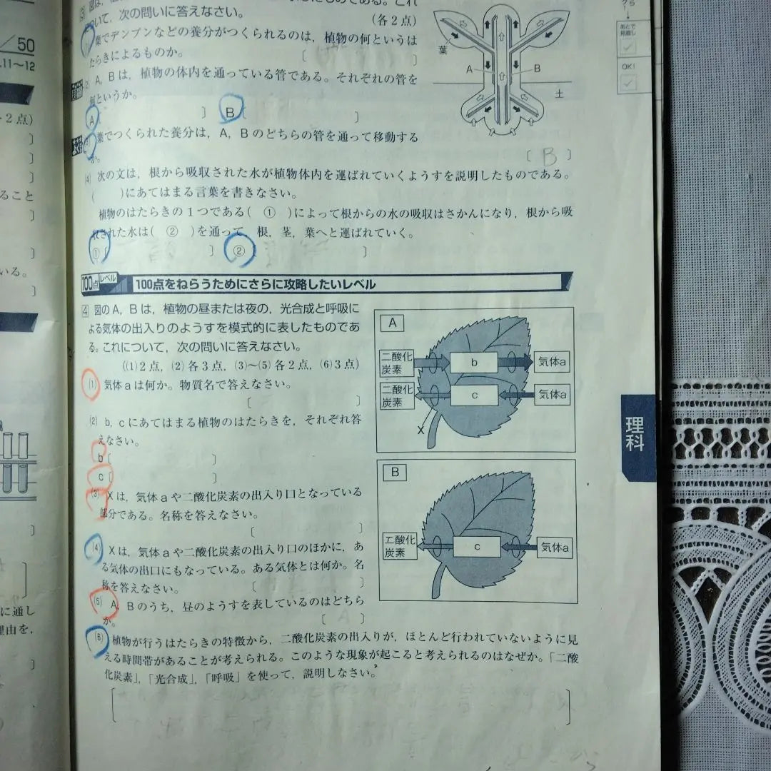 Shinkenzemi Course 1 Level 1 Level College College | 進研ゼミ講座中1レベル別攻略よく出る定期テスト予想問題集理科