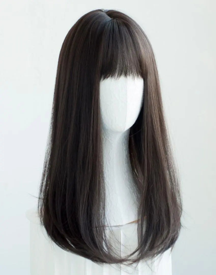 Wig Summer Full Wig Natural Long Straight Halloween Black Cosplay Crossdresser Popular Medical