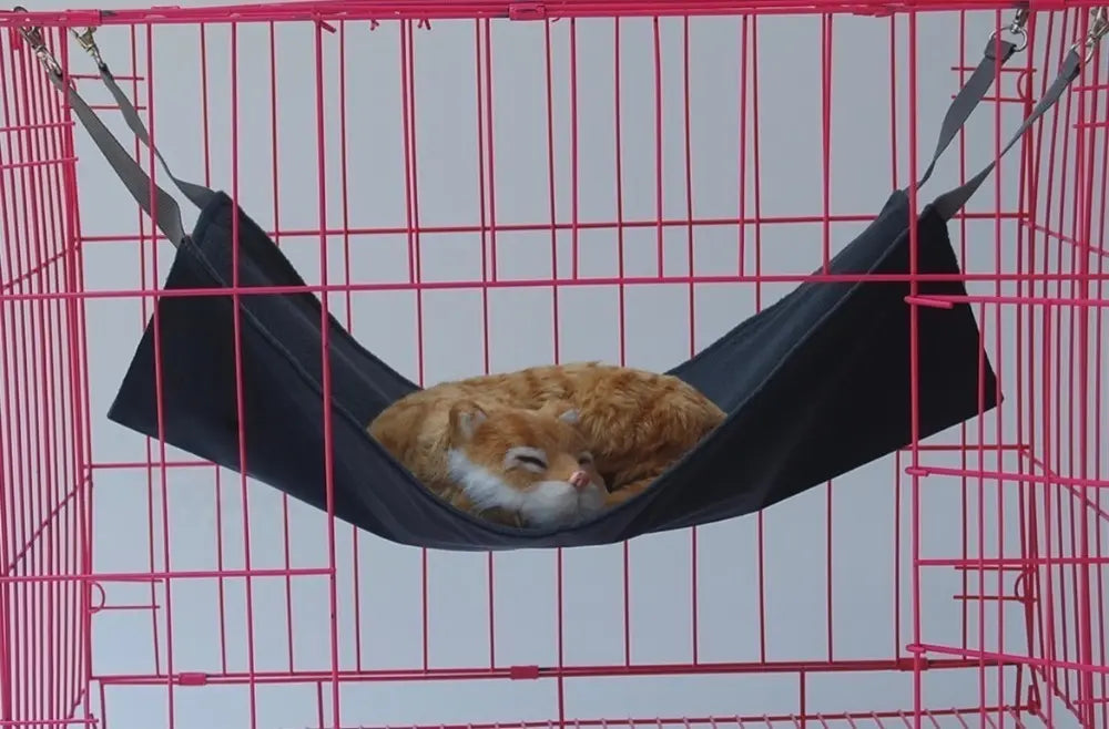 Hammock, Pet, Bed, Chair, Cat, Cage