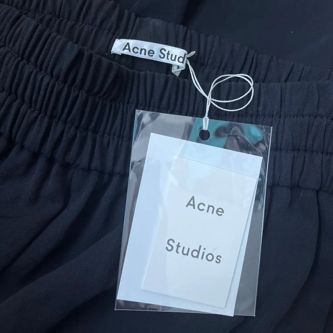 Used only for photography ACNE Studios Triacetate Gaucho Pants