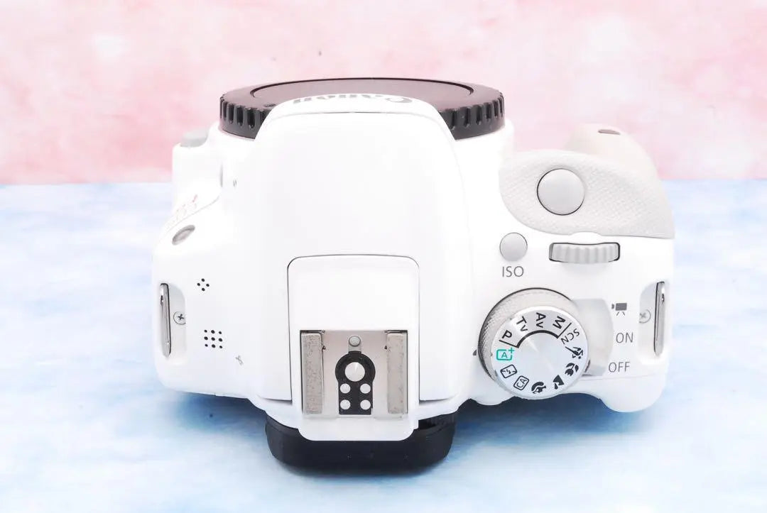 Blanco elegante, excelente estado y doble lente ☆ Cámara Cannon Kiss X7 ☆ SLR | お洒落なホワイト＆極美品＆Wレンズ☆キャノン Kiss X7☆一眼レフカメラ