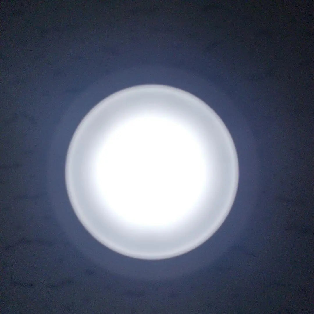 [Like new] KOIZUMI White Ceiling Light (Small)