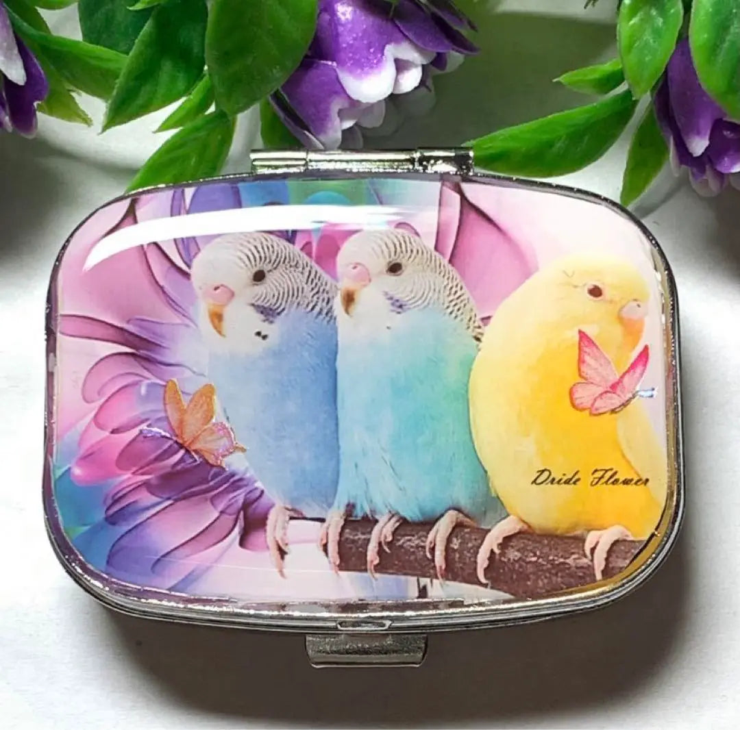 ⚠️Relisting⚠️Handmade resin budgie pill case