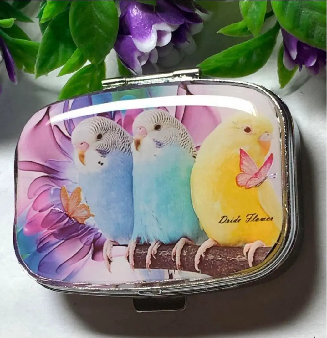 ⚠️Relisting⚠️Handmade resin budgie pill case