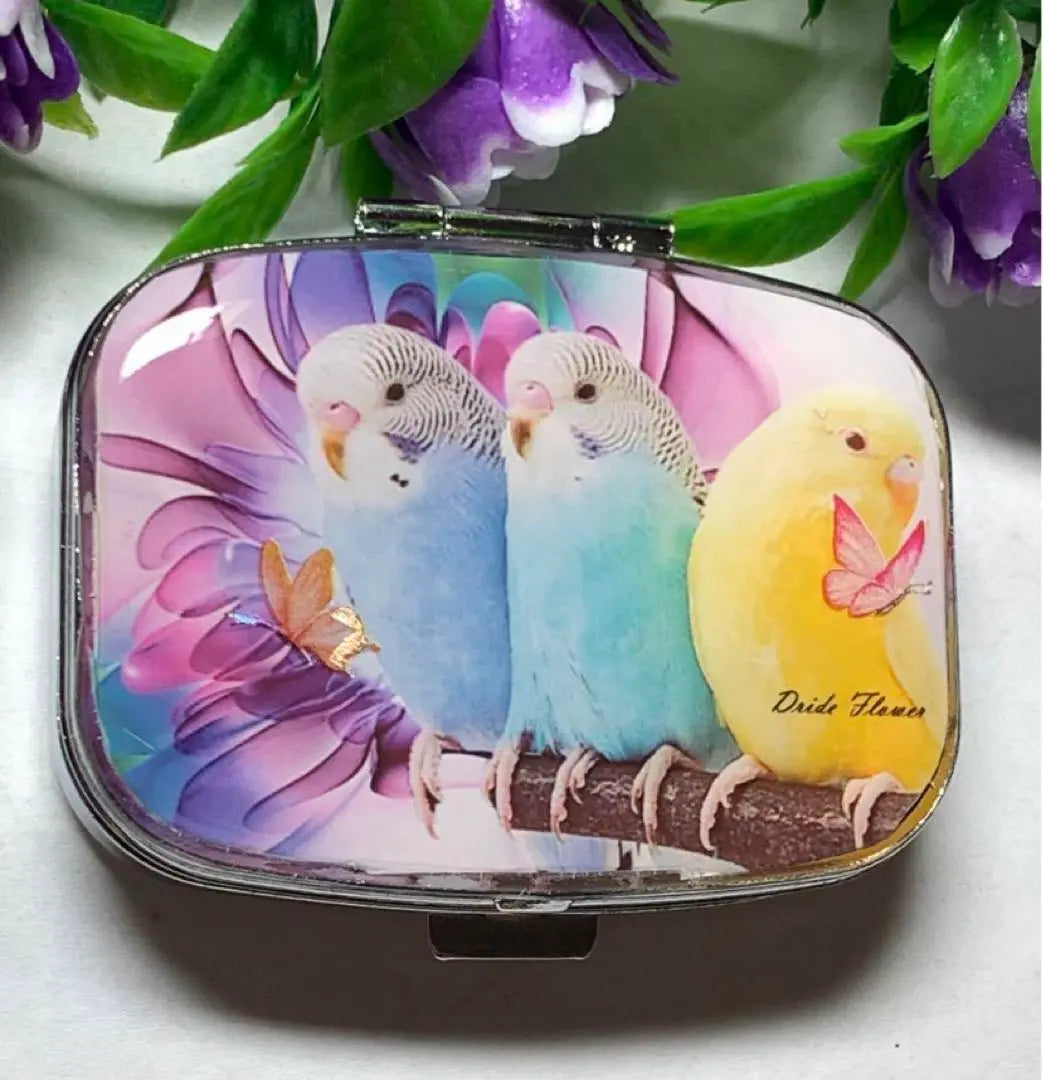 ⚠️Relisting⚠️Handmade resin budgie pill case