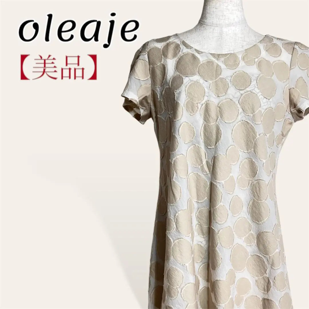 ❤️Oreaje Sheer Random Dot Pattern Flare Dress Tunic 38・M | ❤️美品 oleaje シアーランダムドット柄フレアワンピ チュニック 38・M