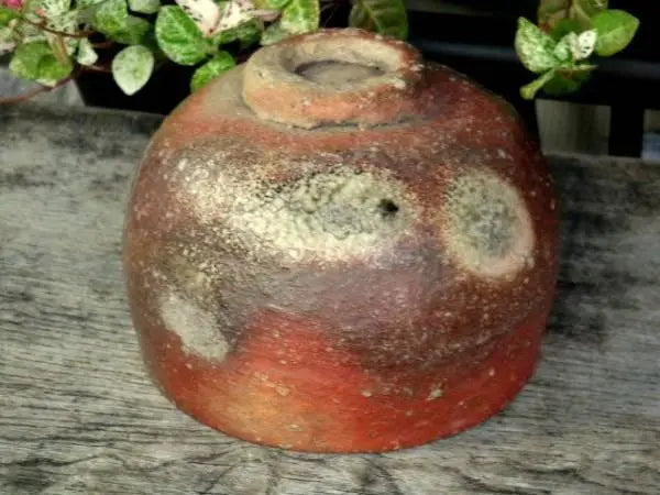 Very old Shigaraki tea bowl with paulownia box, antique