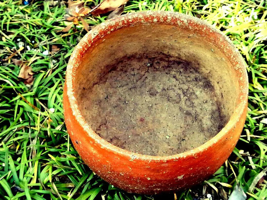 Cuenco de té Shigaraki muy antiguo con caja de paulownia, antigüedad