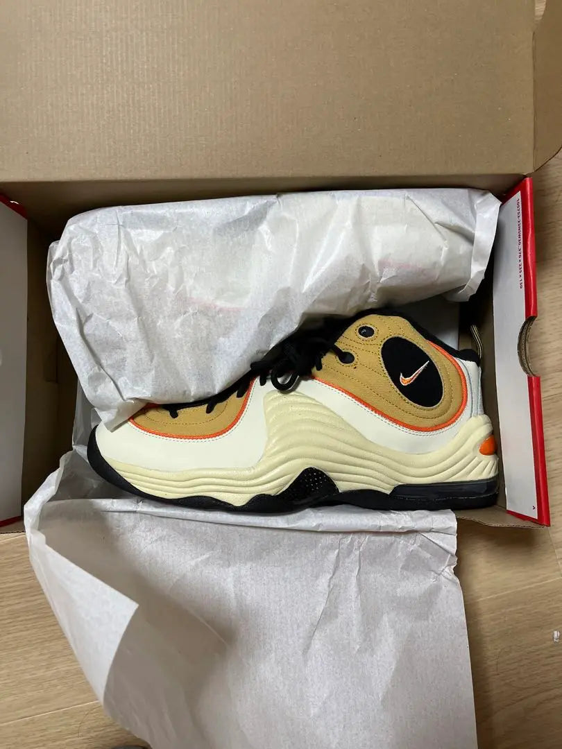 [New and unused] NIKE AIR PENNY 2/30cm Nike