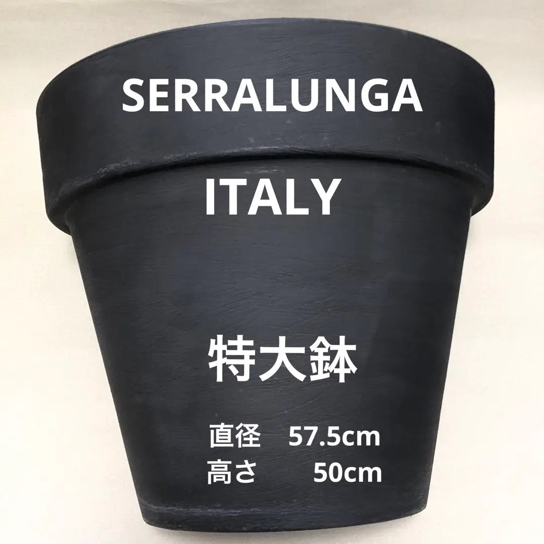 Serralunga Seralunga Large Planter Cover Cover Diameter 57.5cm | SERRALUNGA セラルンガ　大型　プランター　鉢カバー　直径57.5cm