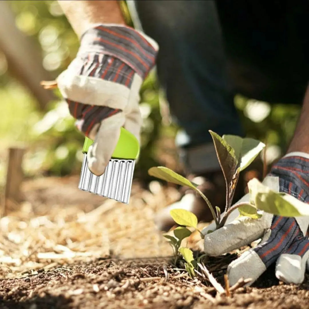 ⭐️ Cepillo para desmalezar 4 piezas Jardinería Limpieza de malezas | ⭐️雑草除草ブラシ 4枚セット ガーデニング 草取り 掃除 雑草 便利