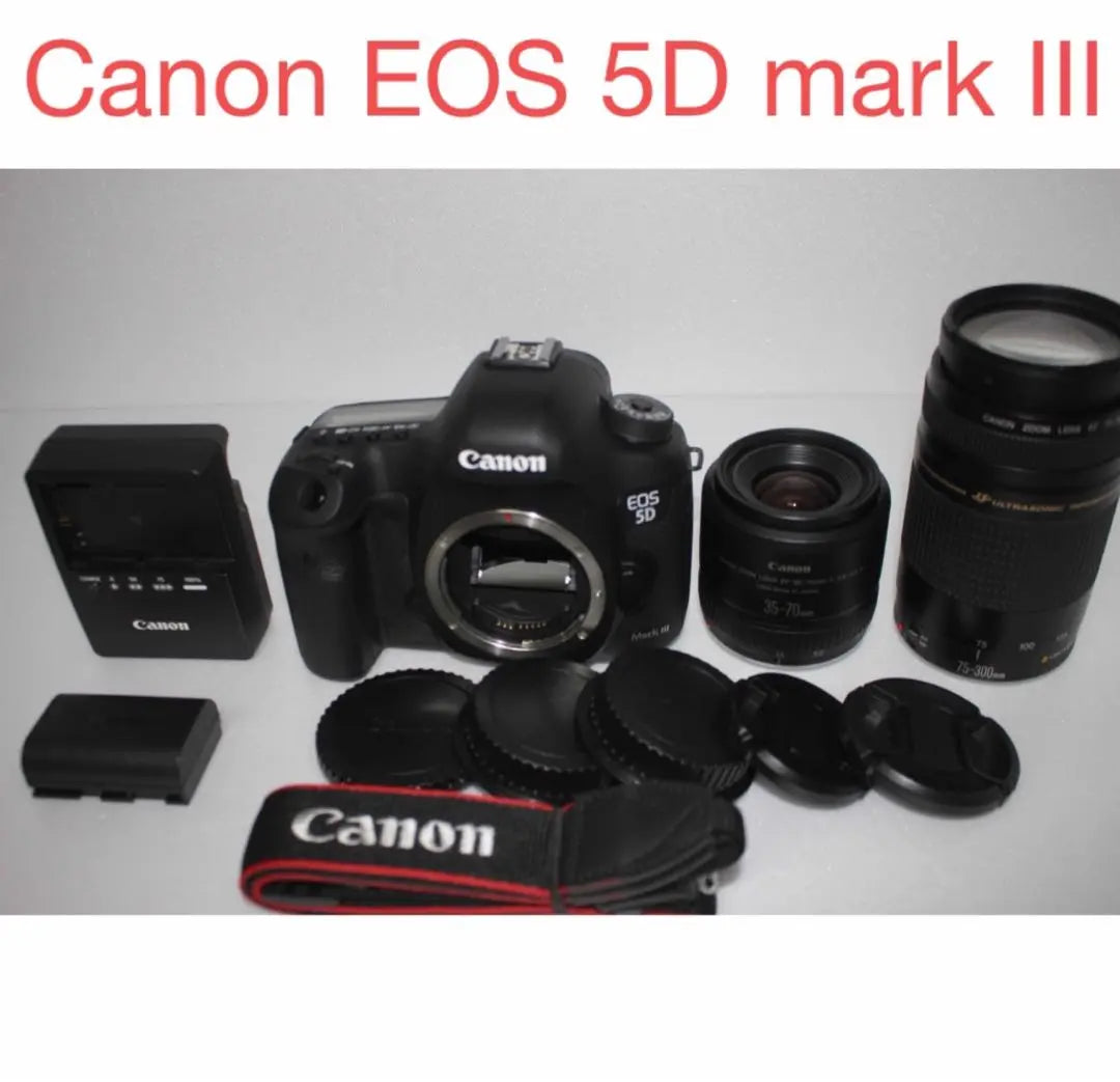 Canon /Canon EOS 5D MarkIII standard & telephoto double lens set