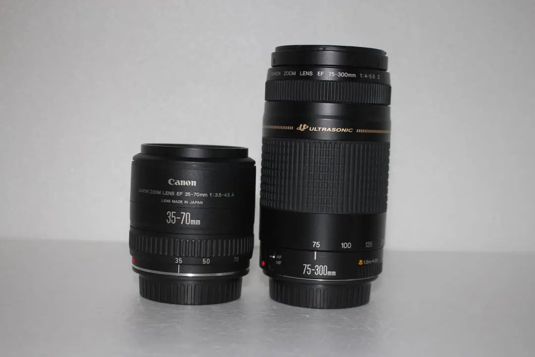 Canon /Canon EOS 5D MarkIII standard & telephoto double lens set