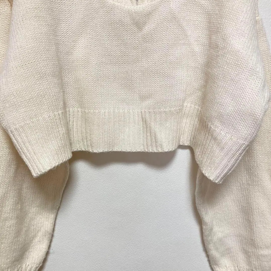 Wego Half Zip Compact Knit [F] Short length Casual Cream