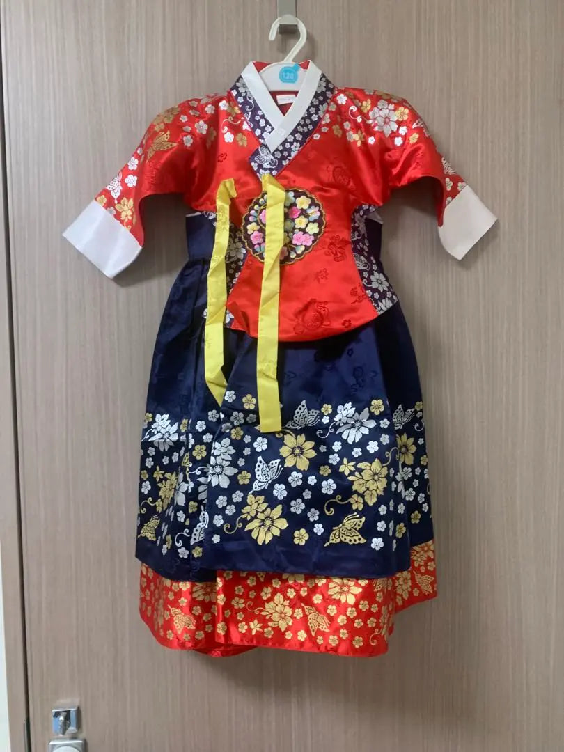 Beautiful Condition Han Pool Girl Korean Costume Korean Chogori Child Pajichogori Korean Traditional Clothing | 美品 韓服女児 韓国民族衣装 韓国チョゴリ 子供 パジチョゴリ 韓国伝統服