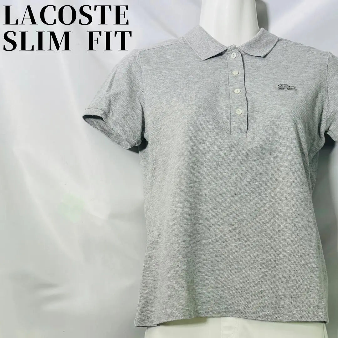 [Popular] Polo de manga corta de mezcla de algodón de corte entallado de Lacoste