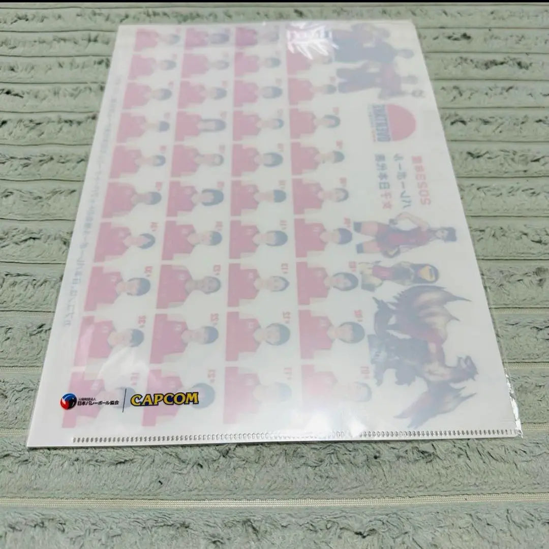 [New] Volleyball/World Cup 2023/Women/Clear File/Not for sale | 【新品】バレーボール/ワールドカップ2023/女子/クリアファイル/非売品