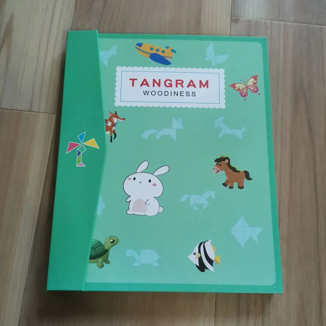 Tangram Magnet Educational Toy