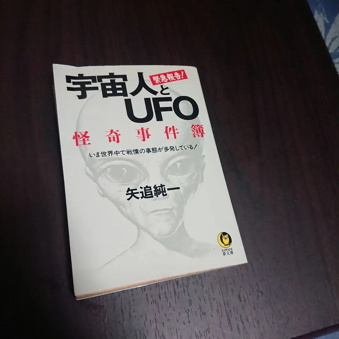 Aliens and UFOs: The Strange Case Files Yao Junichi