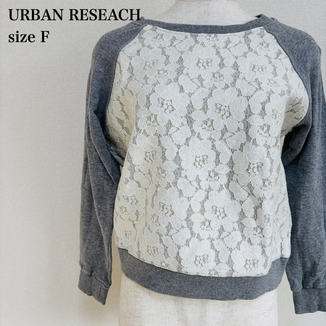 Urban Research Botanical Pattern Lace Cotton Raglan Sleeve Trainer