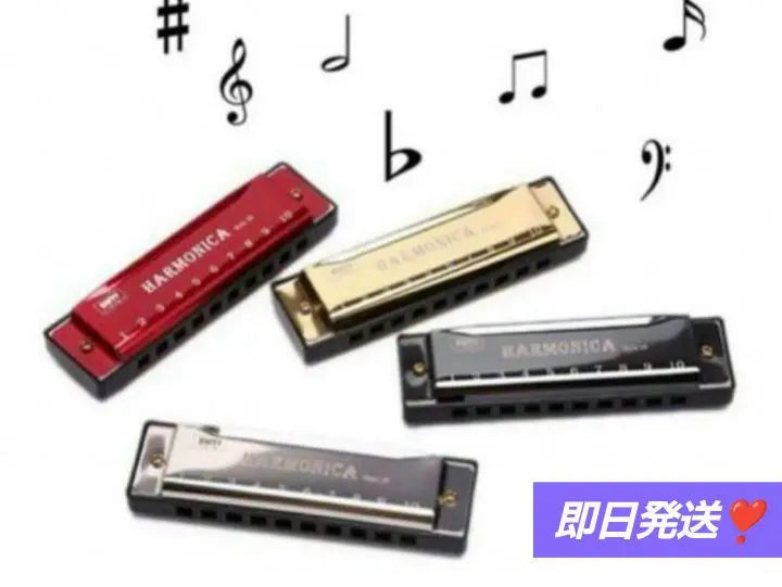 ⭐ Only 1 item⭐C10 Hole Diatonic Harmonica Black with Case for Beginner Students★