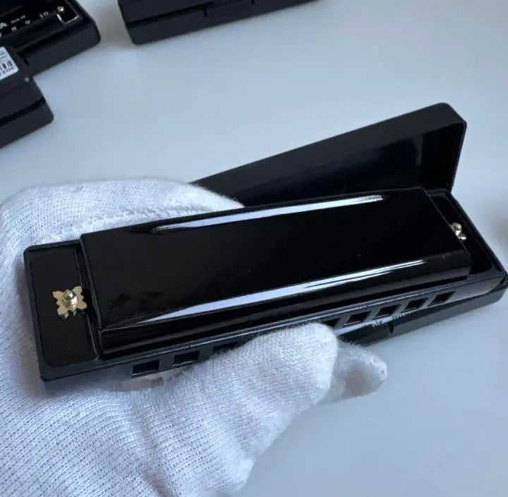 ⭐ Only 1 item⭐C10 Hole Diatonic Harmonica Black with Case for Beginner Students★