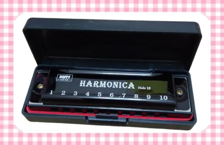 ⭐ Only 1 item⭐C10 Hole Diatonic Harmonica Black with Case for Beginner Students★