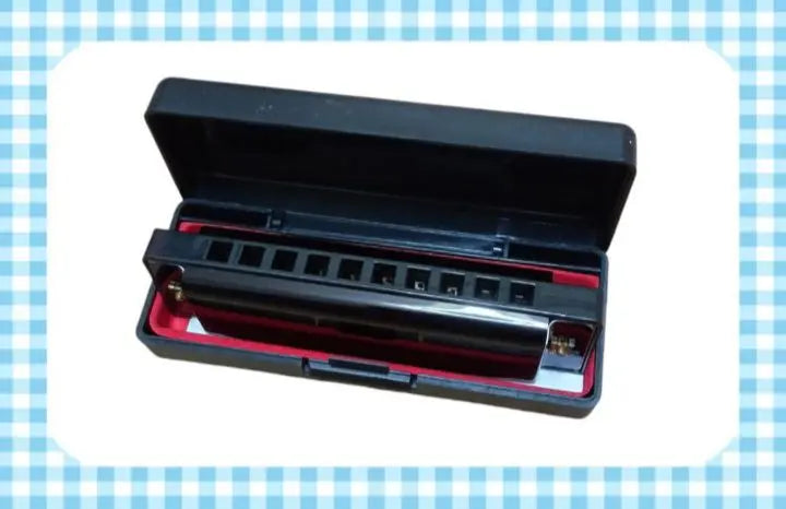 ⭐ Only 1 item⭐C10 Hole Diatonic Harmonica Black with Case for Beginner Students★