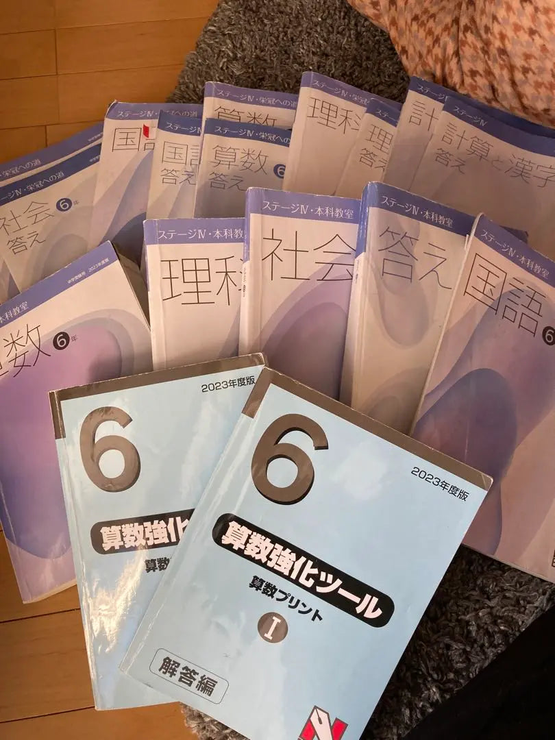 Final price reduction: Nihon Ken 6th grade, Stage 4, Main course, The road to crown, calculation and kanji