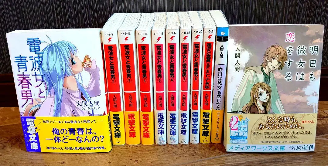 [Bulk sale] Light novels bulk sale