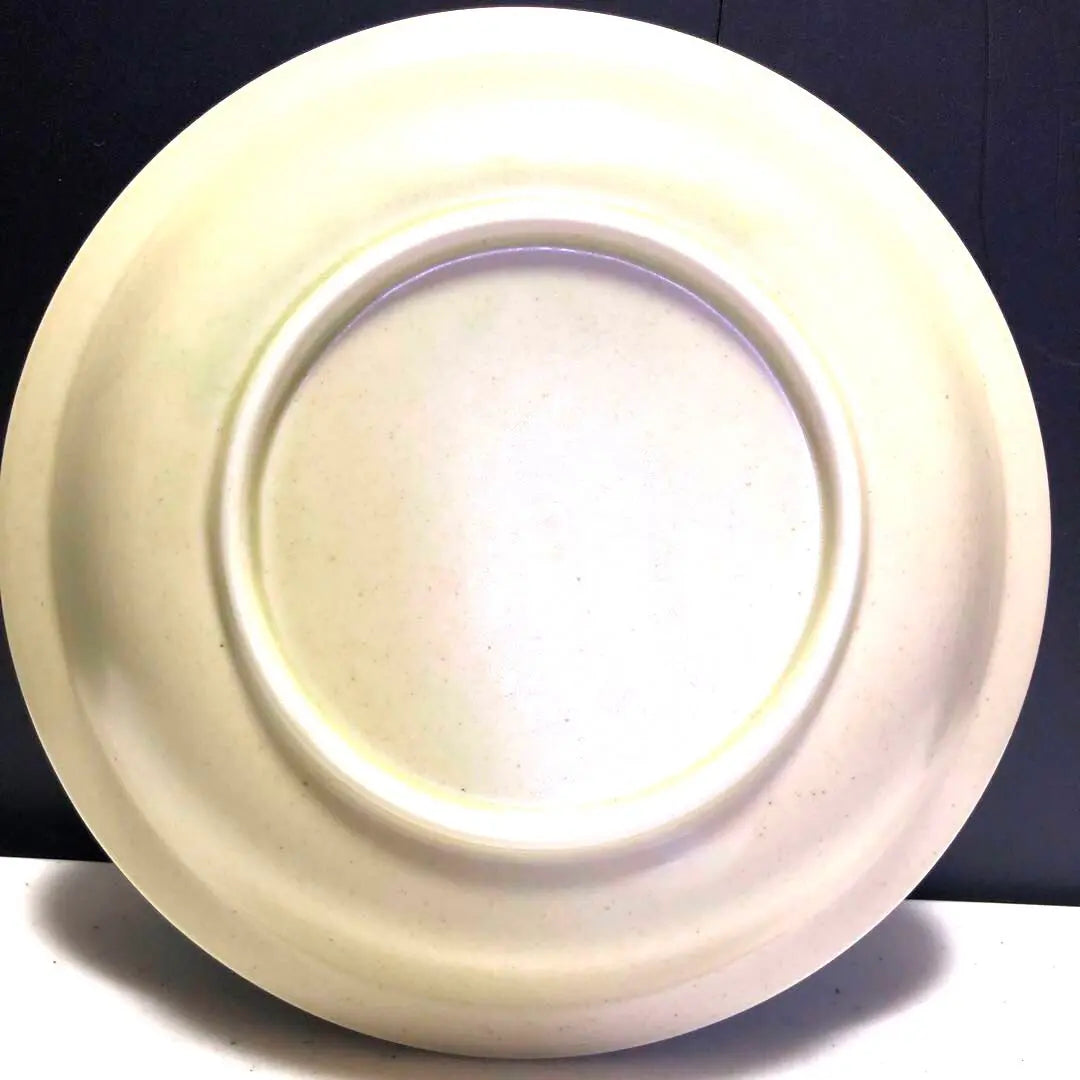 NO.2253 Raymon Penne Plate 5 pieces set