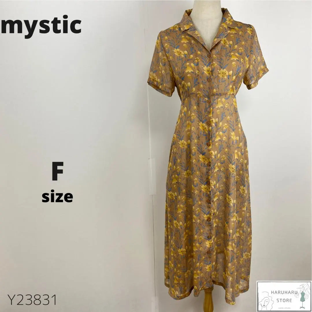 Beautiful condition mystic long shirt dress, all-over pattern, floral pattern, sheer