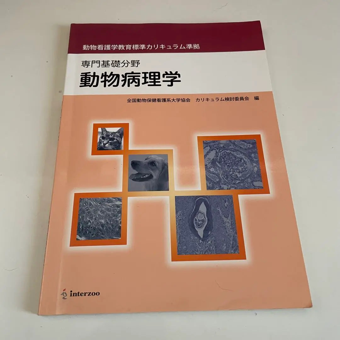 Specialized Basics Animal Pathology Books