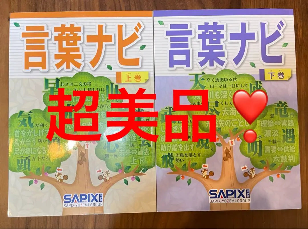 19-21AA Super Good Condition SAPIX Word Navi Volume 1 Volume 2 Important Teaching Materials