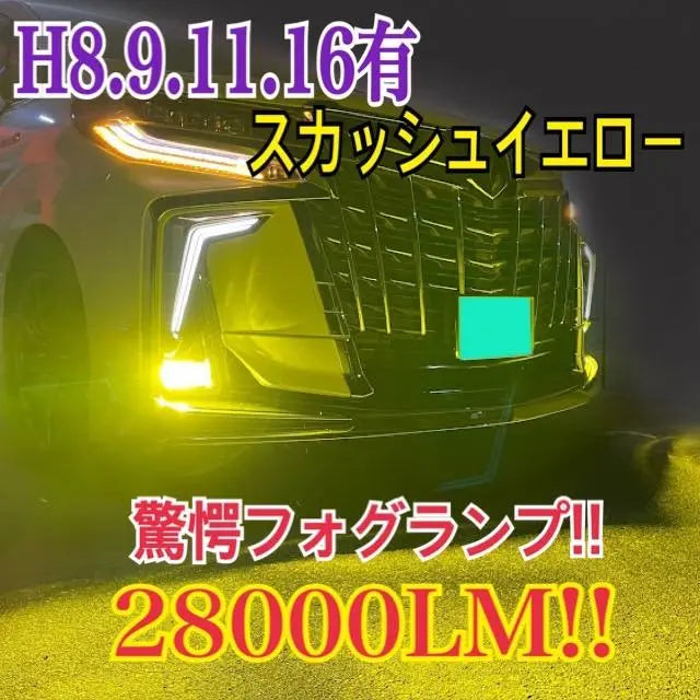 Amazing brightness! Squash Yellow 28,000LM‼ H8.9.11.16