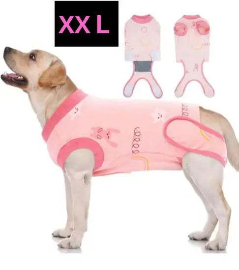 Ropa postoperatoria Protección de heridas para perros Protección de la piel Ropa postoperatoria Elizabeth wear Hombre y mujer XXL