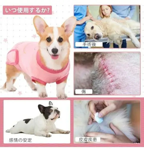 Ropa postoperatoria Protección de heridas para perros Protección de la piel Ropa postoperatoria Elizabeth wear Hombre y mujer XXL