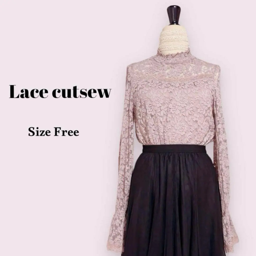 Total lace cut -and -sew pink free mass production type girly office clean | 総レースカットソー　ピンク　Free　量産型　ガーリー　オフィス　きれいめ