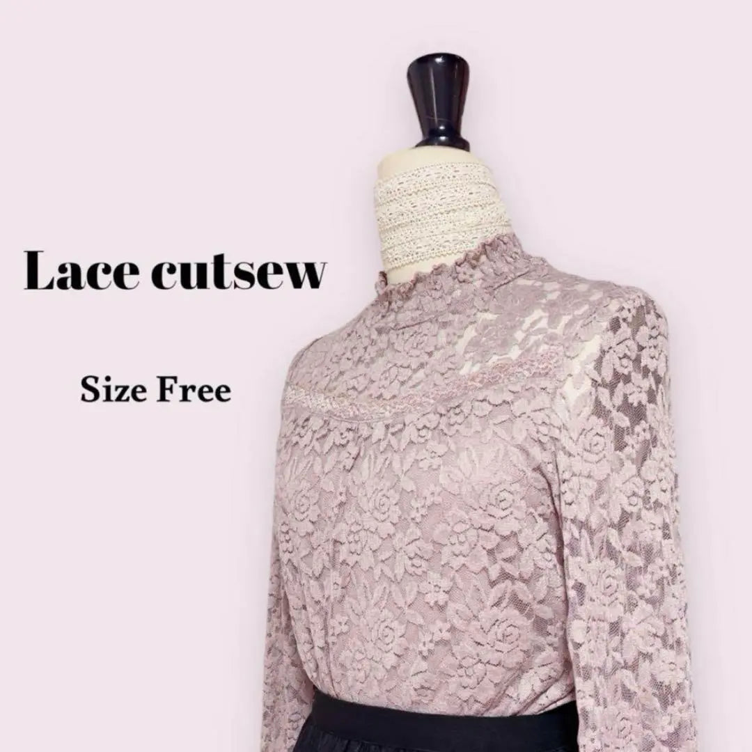 Total lace cut -and -sew pink free mass production type girly office clean | 総レースカットソー　ピンク　Free　量産型　ガーリー　オフィス　きれいめ