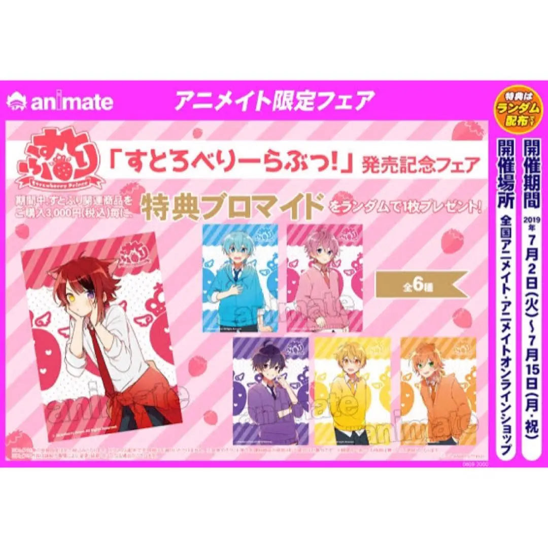 Stupid [Satomi] Stupid Lover! ★Animate★Bonus★Bromide★4-piece set