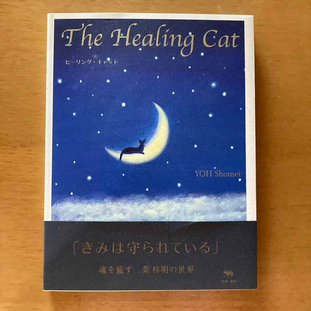 Healing Cat with autograph by Ha Yoshiaki