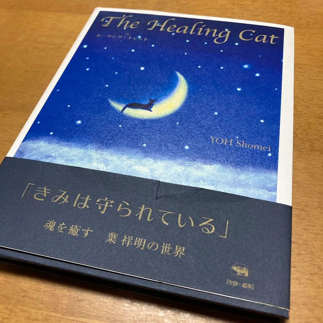 Healing Cat with autograph by Ha Yoshiaki