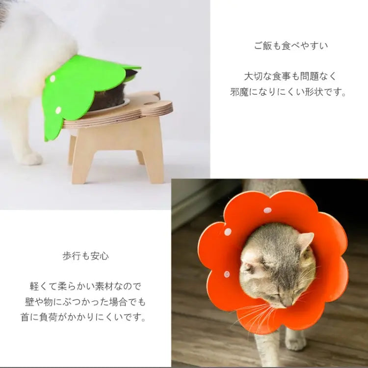 Only one item ☘️Elizabethic Collar Scratch Neutering Surgery Contraception Eczema Wound Protection