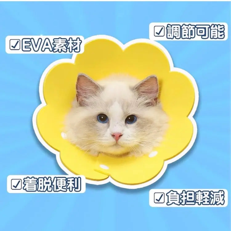 Only one item ☘️Elizabethic Collar Scratch Neutering Surgery Contraception Eczema Wound Protection