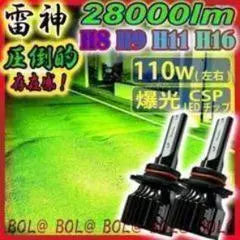 Explosive LED Green Green H8 H9 H11 H16 Fog Lamp Bulb Car