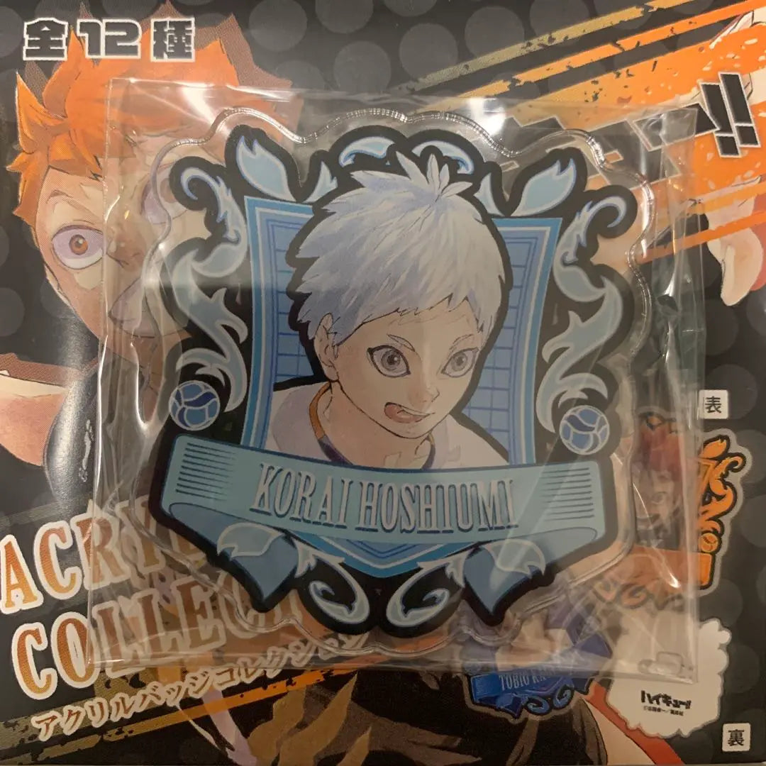 ☆ Haikyu!! Colección de insignias acrílicas de Hoshiumi Mitsurai