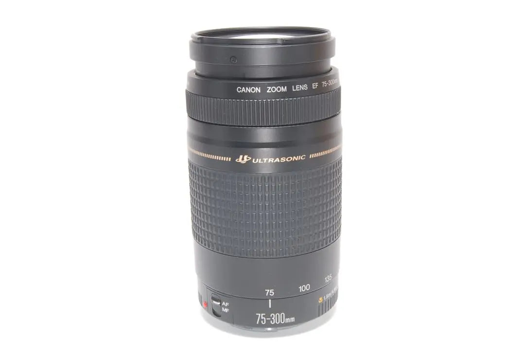 Recommended for beginners Canon Kiss X2 double lens that can be used immediately after it arrives