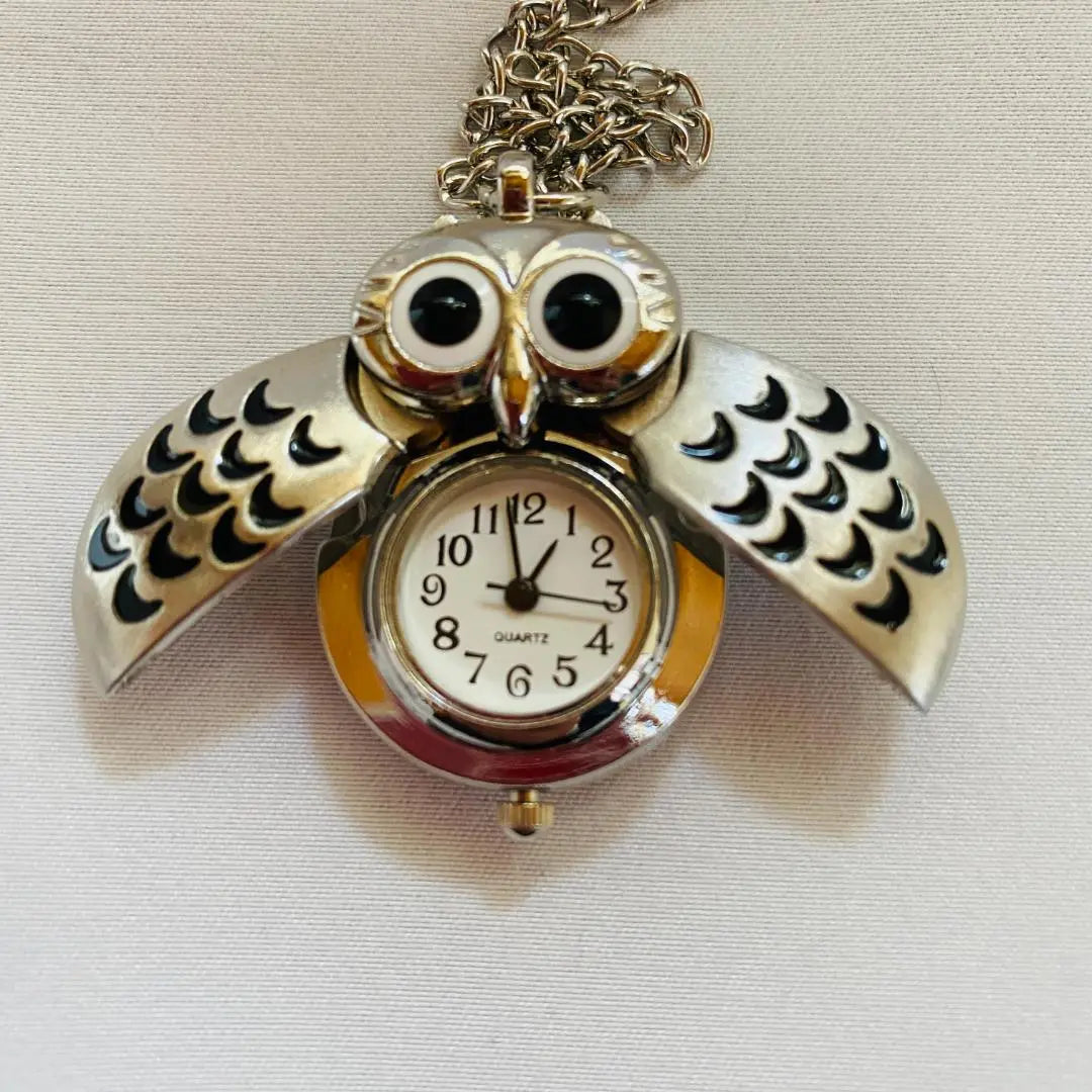 Dutch souvenirs: owls? Watch