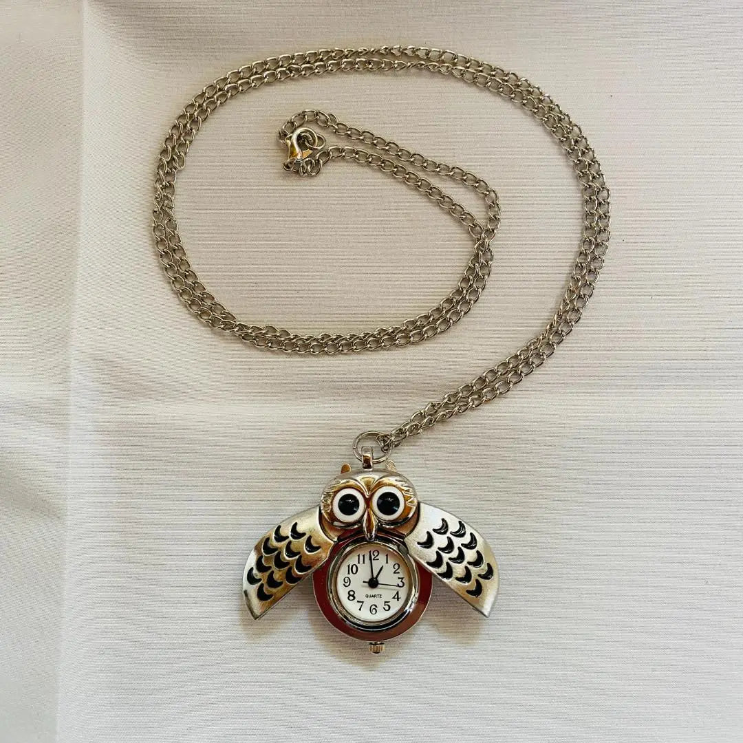 Dutch souvenirs: owls? Watch