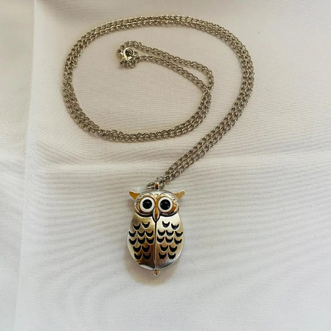 Dutch souvenirs: owls? Watch